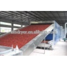 Ferroferric Oxide belt dryer